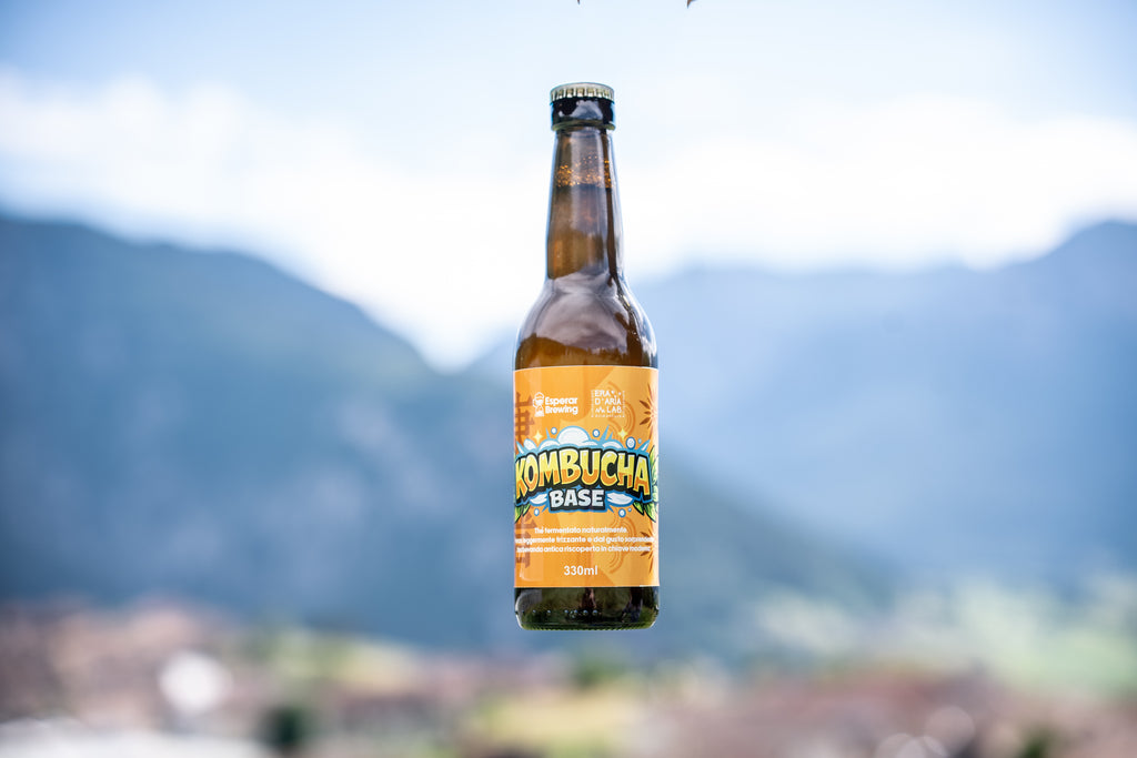 Artisanal Kombucha 33 cl