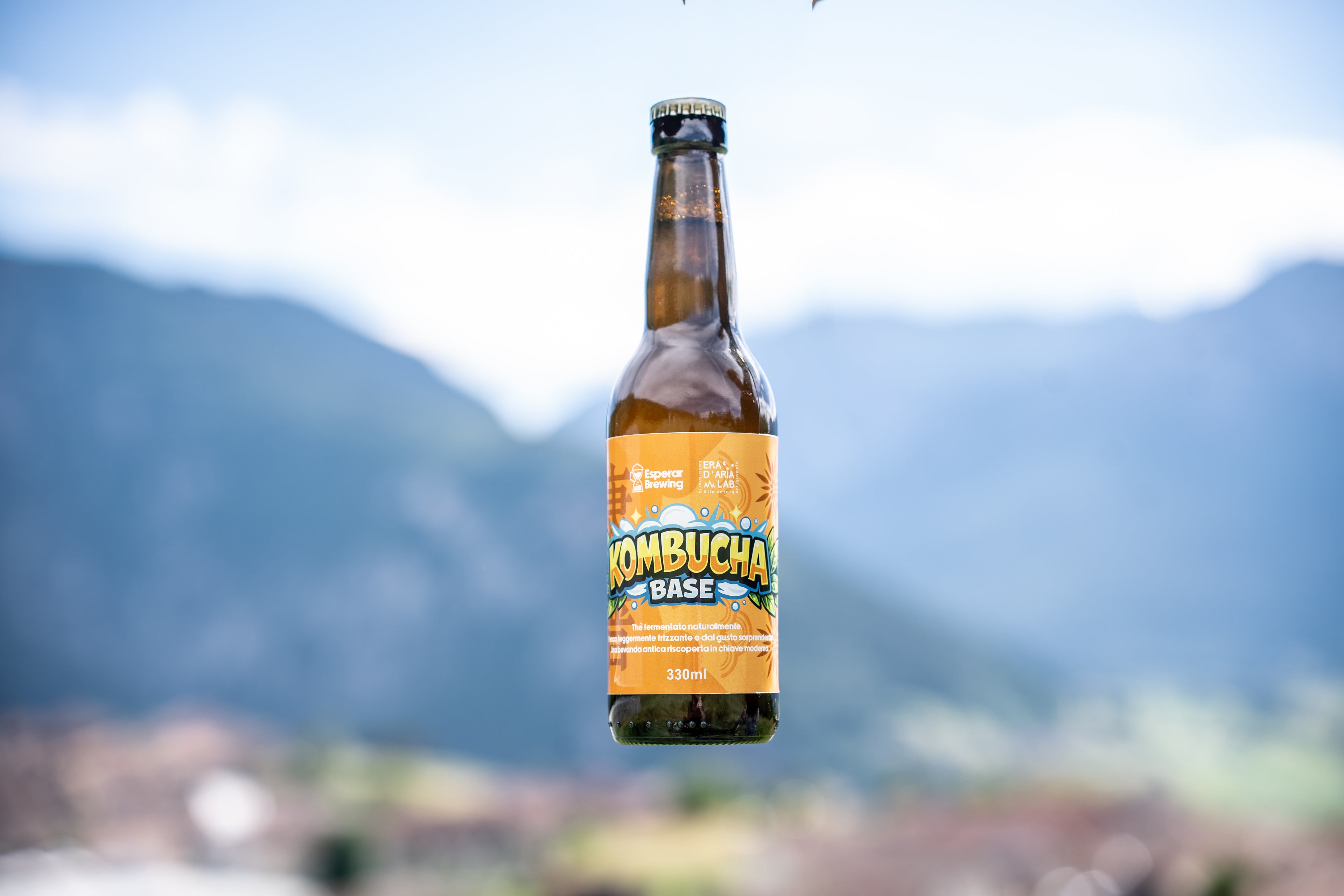 Artisanal Kombucha 33 cl