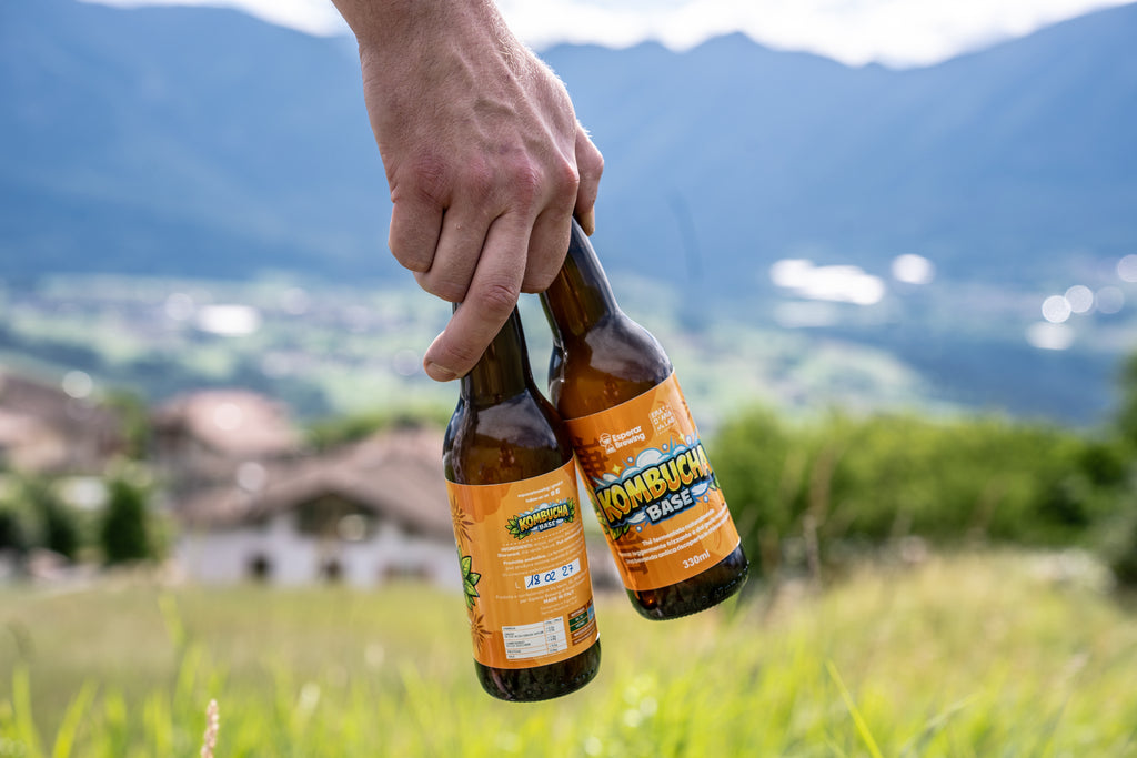 Artisanal Kombucha 33 cl