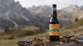 Artisanal Kombucha 33 cl